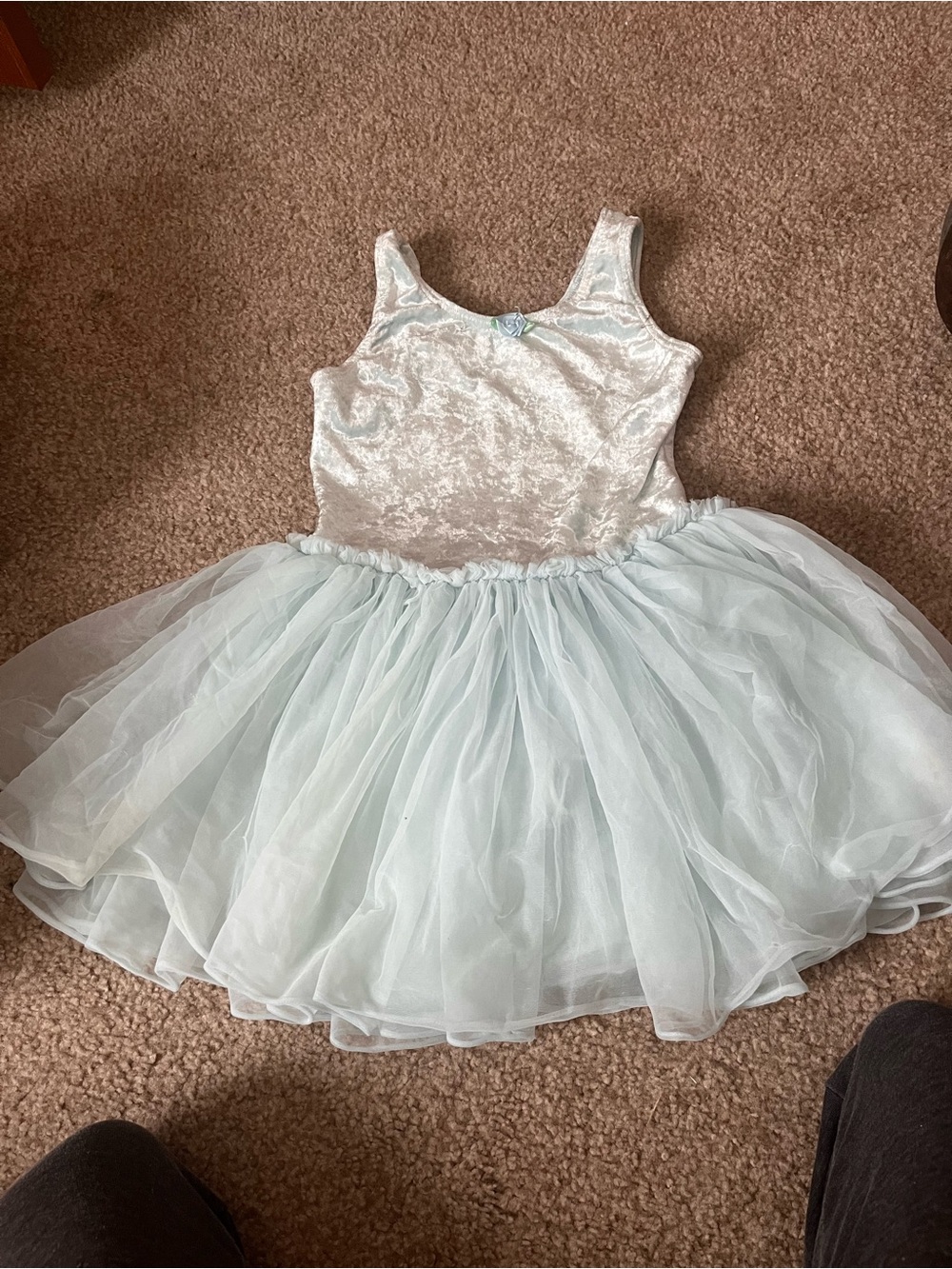 Girls Light Blue Tulle Ballerina Costume Dress